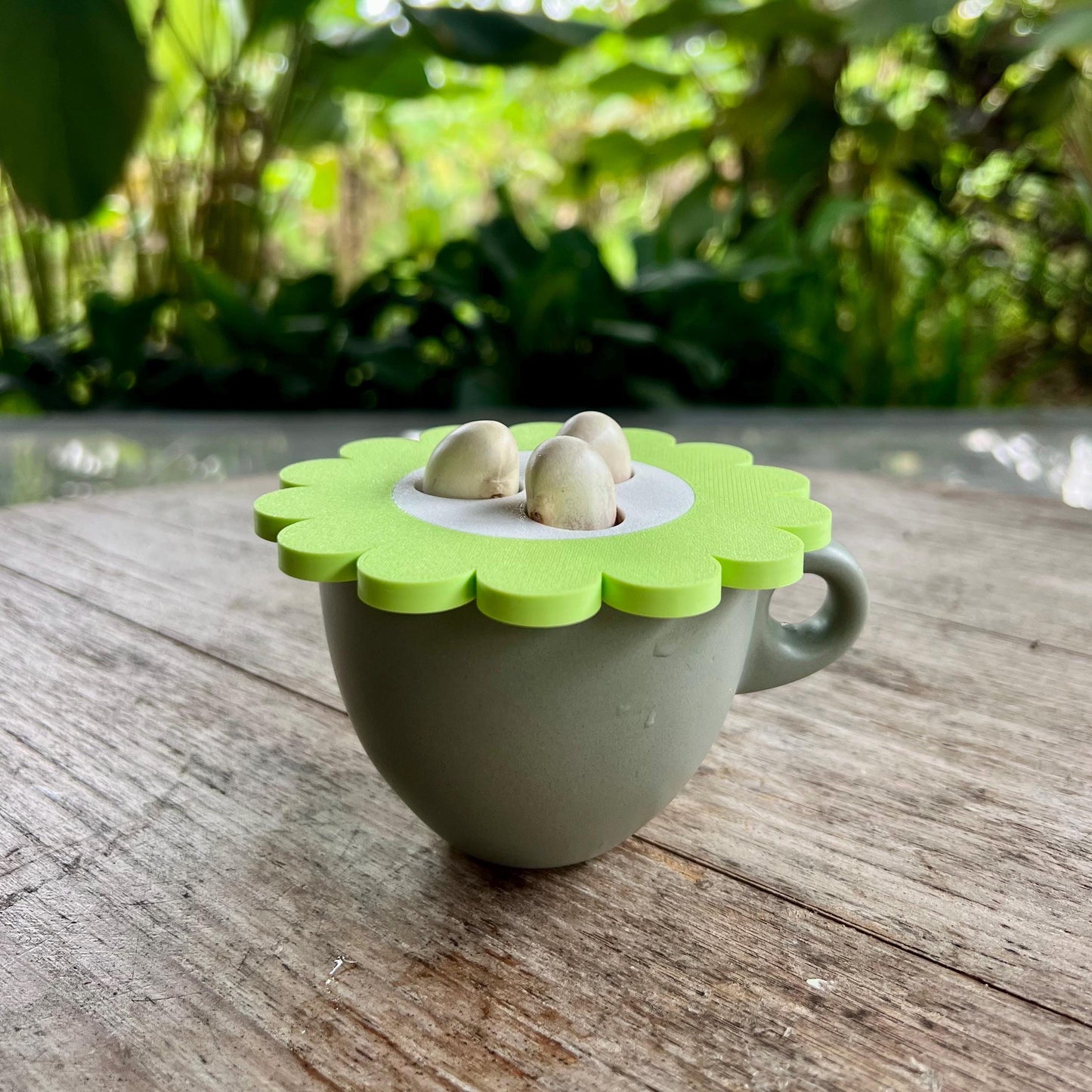 Small container fitted with a modular sprouter lid insert holding seeds ready for sprouting