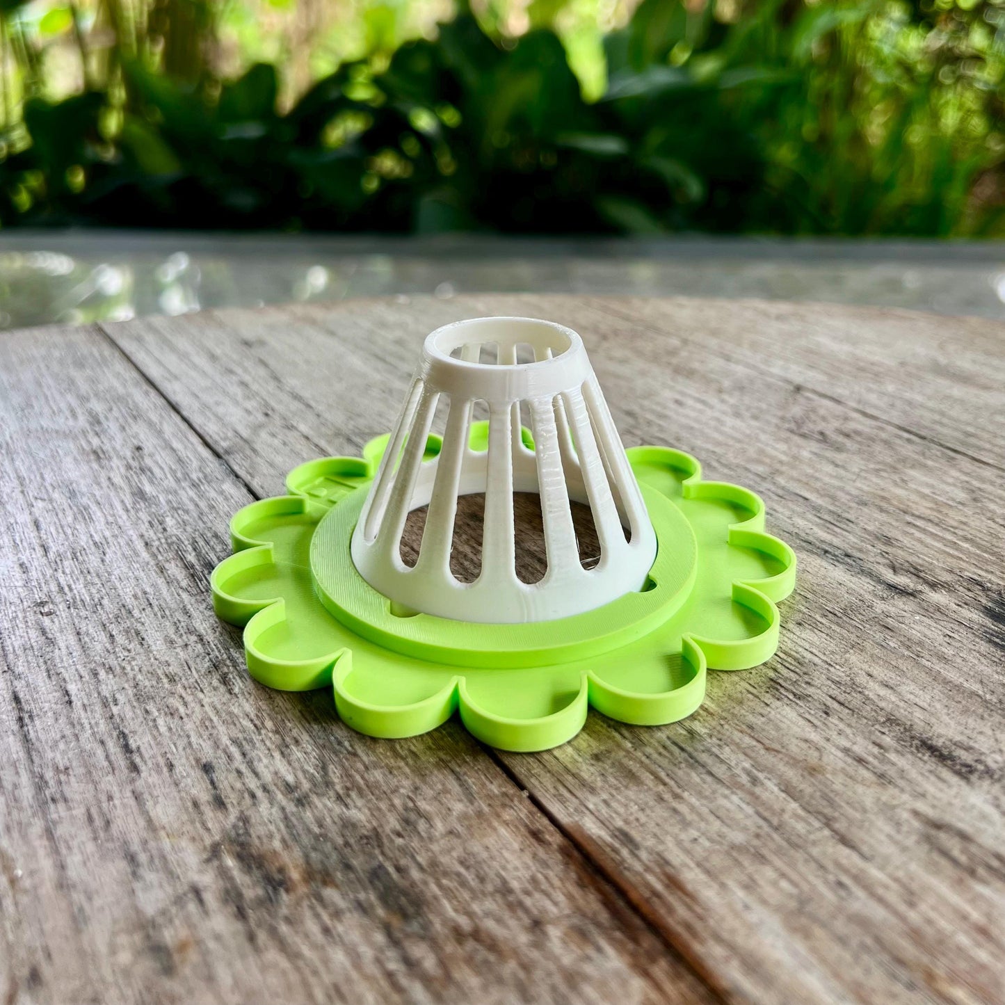 Close up of a modular sprouter lid insert designed to fit mason jars for seed sprouting and regrowth