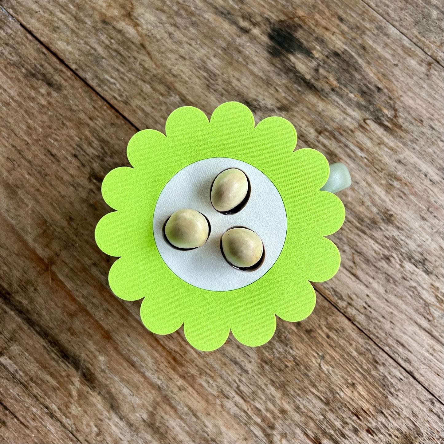 Top view of a mason jar sprouter lid insert holding seeds for controlled sprouting and regrowth