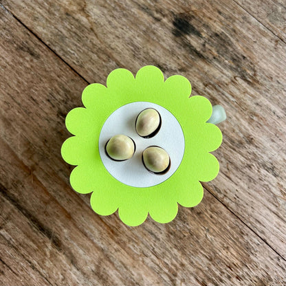 Top view of a mason jar sprouter lid insert holding seeds for controlled sprouting and regrowth