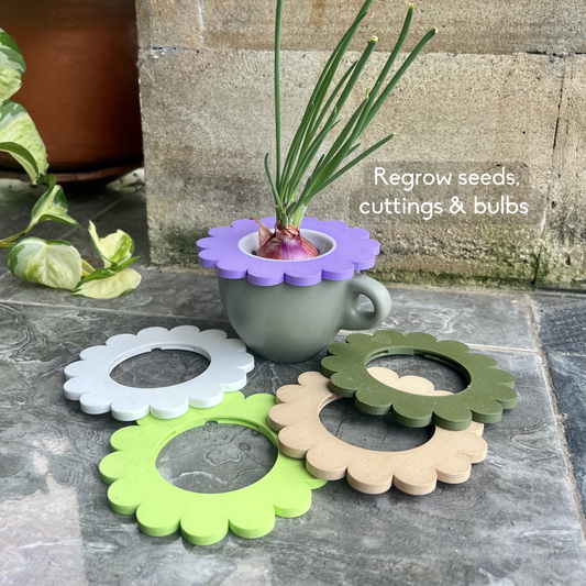 Mason Jar Sprouter Ring | Outer Attachment