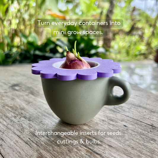Mason Jar Sprouter Lid | Starter Regrow Kit