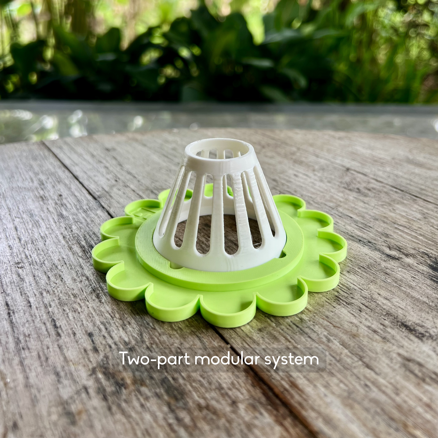 Keimglasdeckel | Starter-Nachzucht-Set