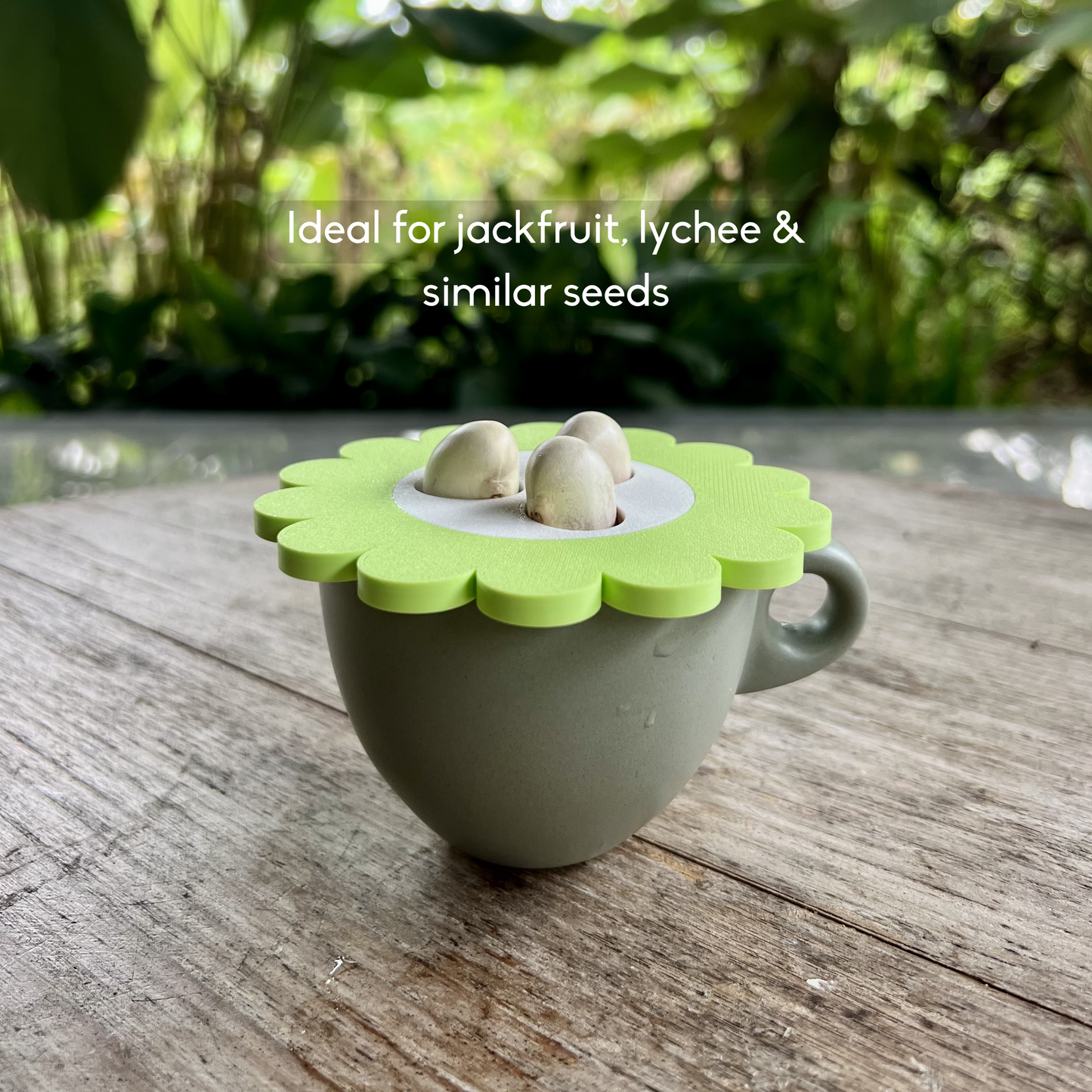 Keimglasdeckel | Komplettes Nachzucht-Set