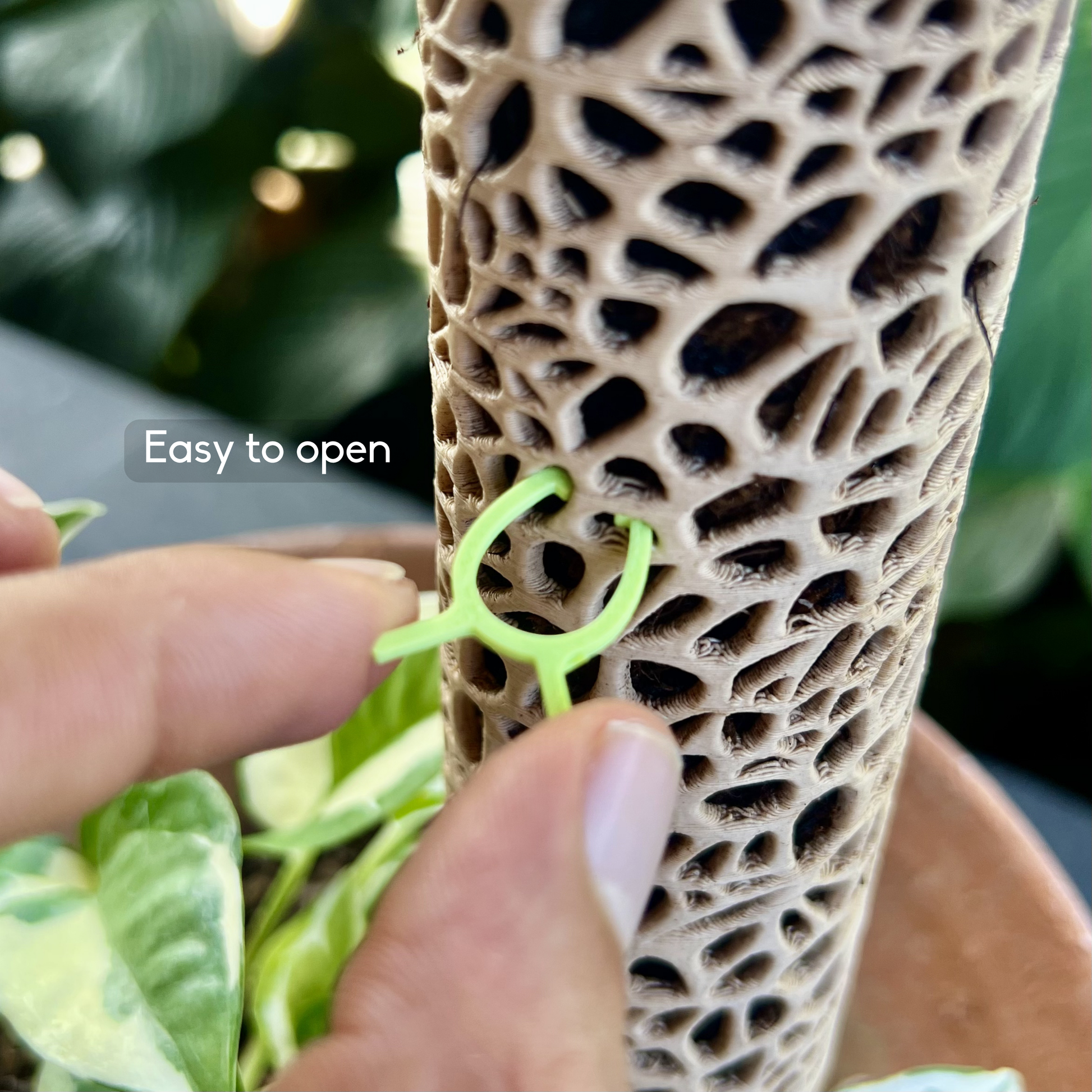 Hand pinching open plant clip into moss pole