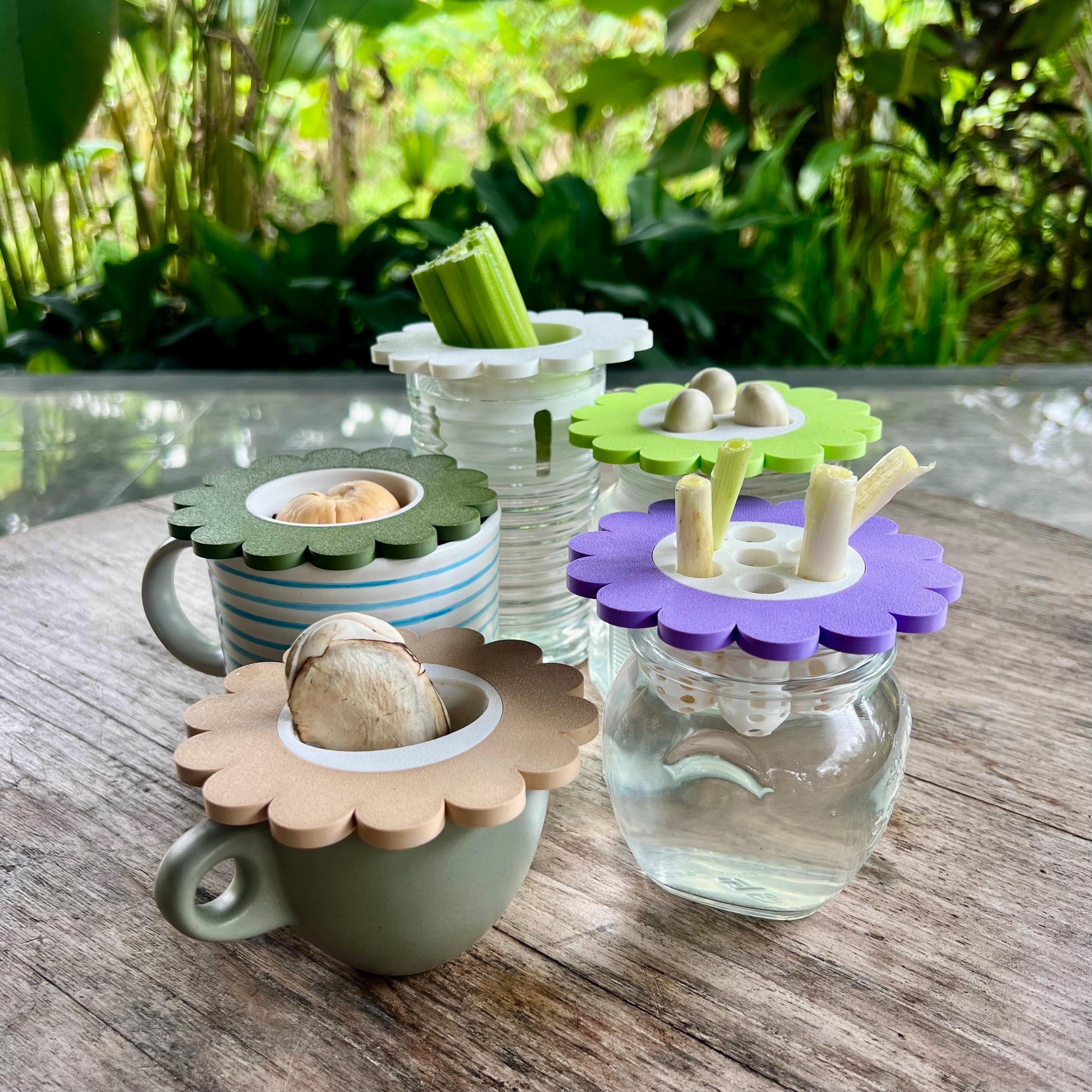 Mason jar sprouter lids fitted with different inserts, demonstrating modular options for sprouting and regrowing plants