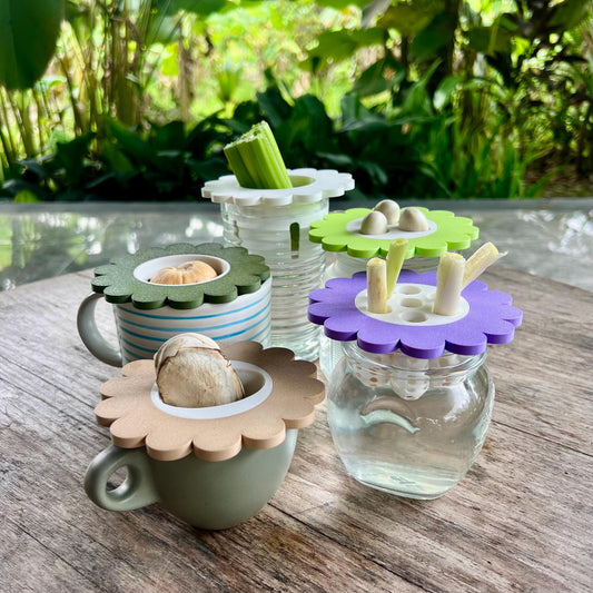 Mason jar sprouter lids fitted with different inserts, demonstrating modular options for sprouting and regrowing plants