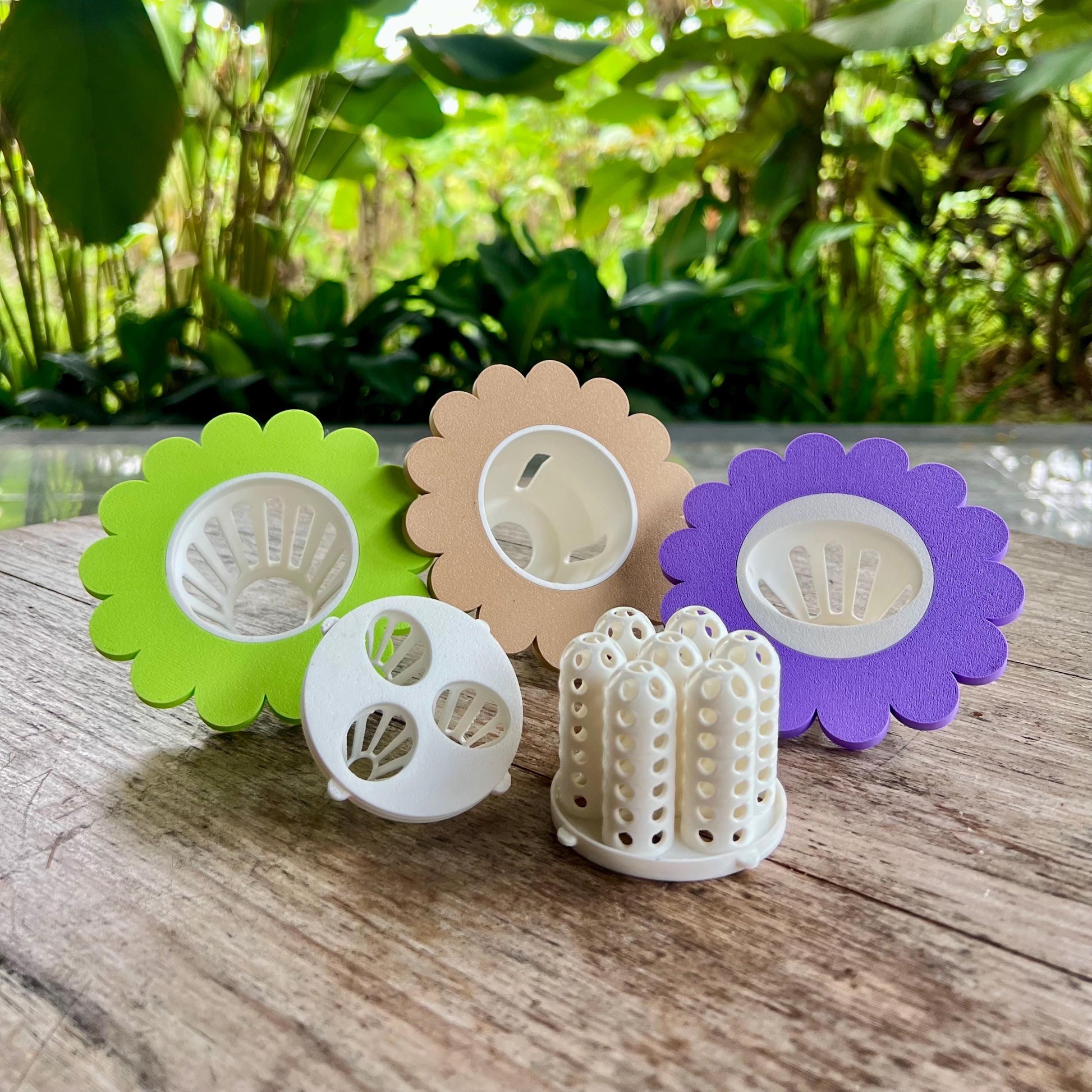 Modular mason jar sprouter lid system with interchangeable inserts for sprouting seeds and regrowing vegetables