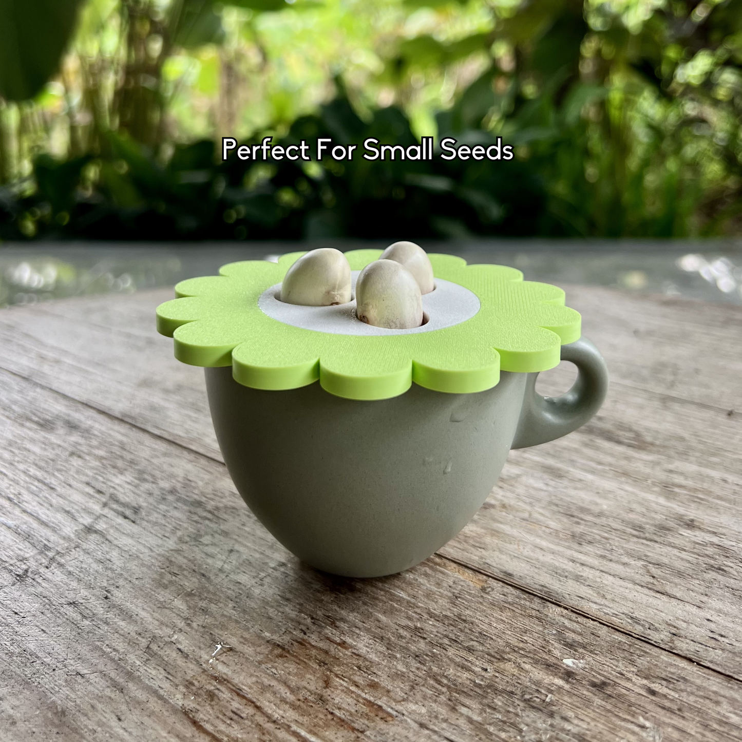 Lychee seed net insert holding small seeds above water in a cup for stable germination and easy regrowing.