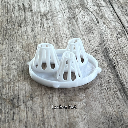 Lychee seed net insert designed to hold small round seeds securely above water for stable root growth.