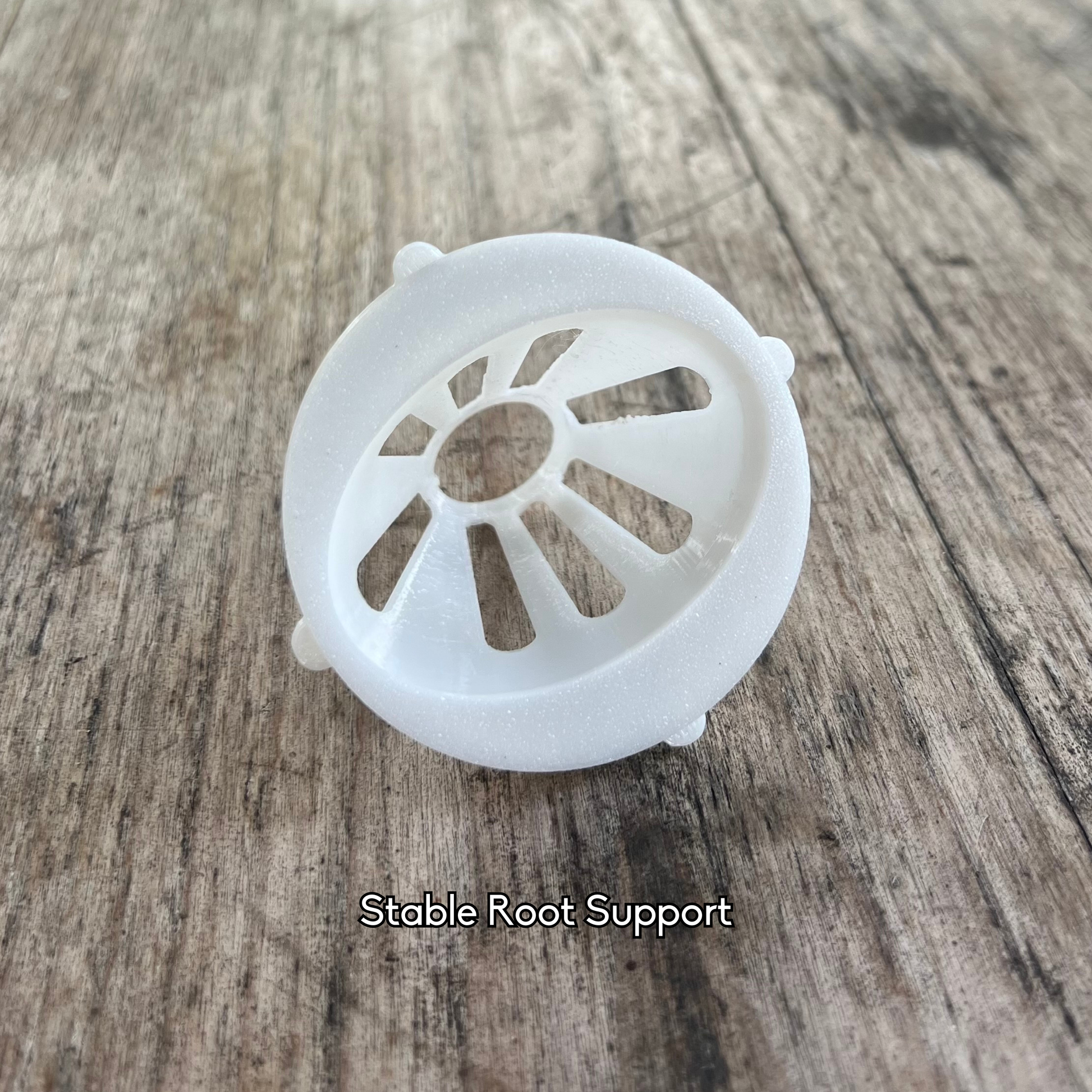 Mango seed net insert showing secure support design for suspending seeds over water.