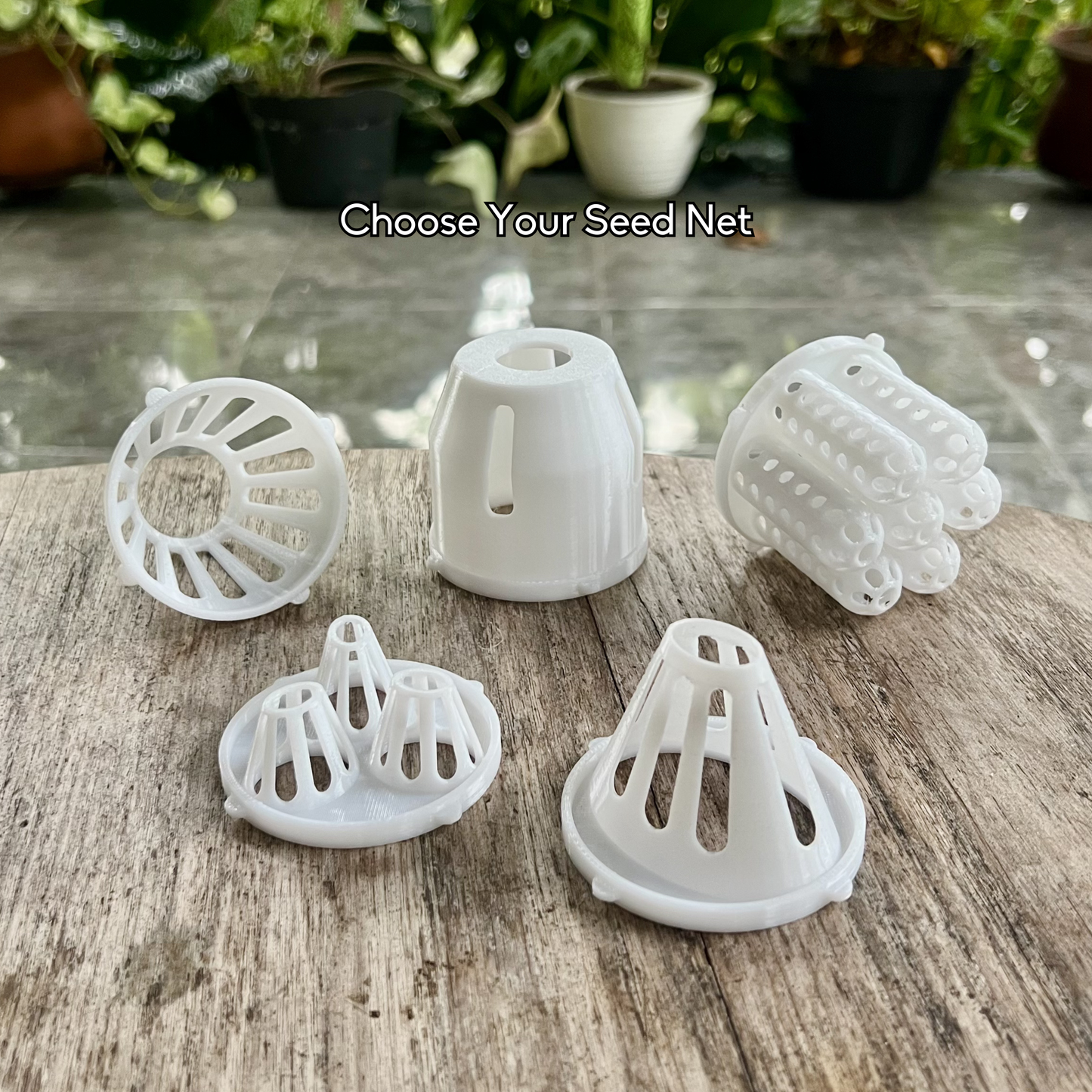 Interchangeable mason jar seed net inserts for regrowing avocado, mango, spring onion and more by PureLayer.