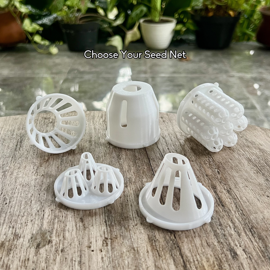 Interchangeable mason jar seed net inserts for regrowing avocado, mango, spring onion and more by PureLayer.