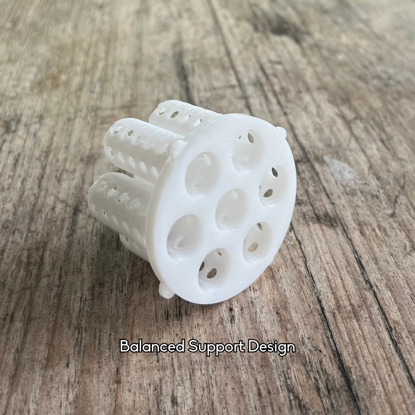 Regrowing spring onions in a mason jar using the PureLayer net insert.