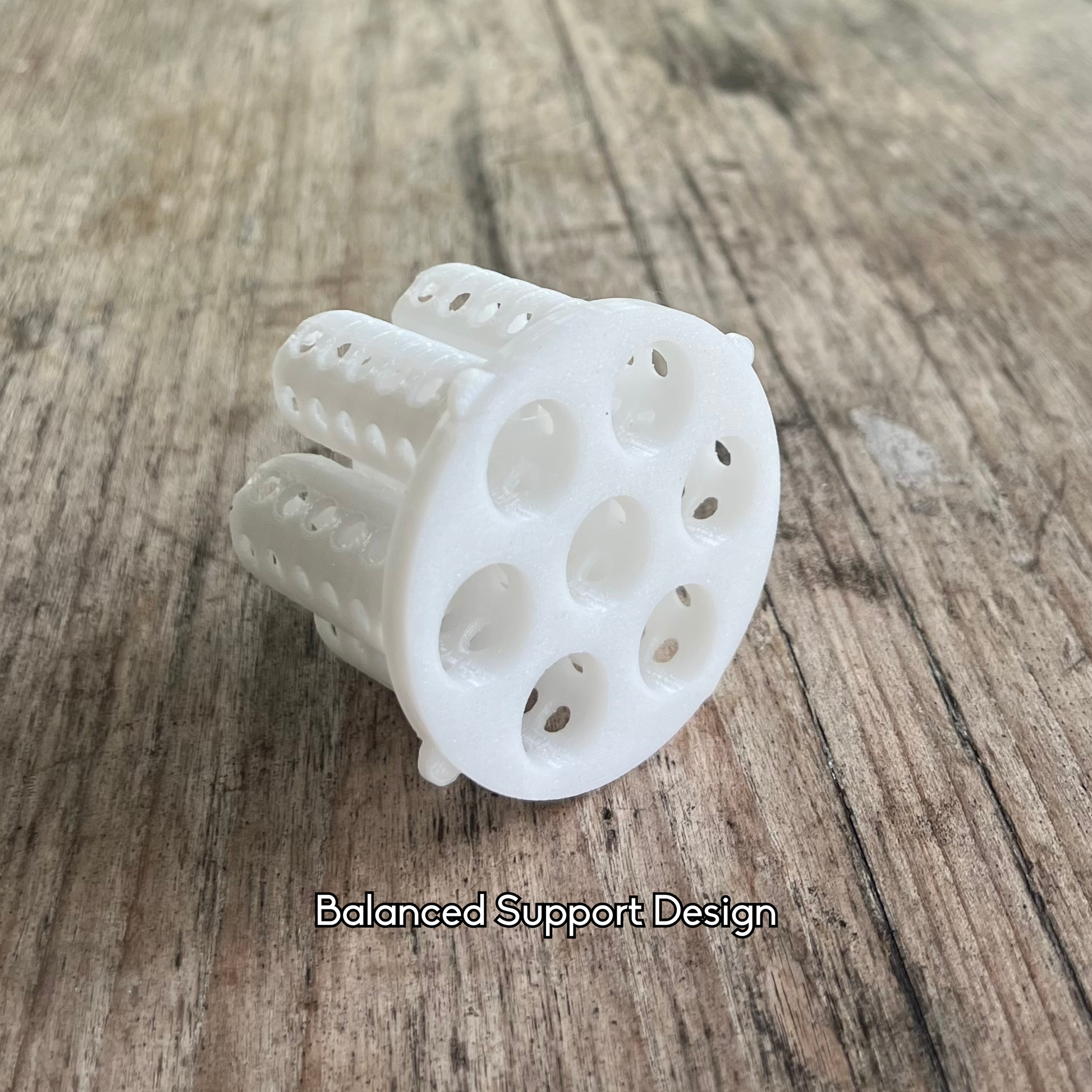 Regrowing spring onions in a mason jar using the PureLayer net insert.